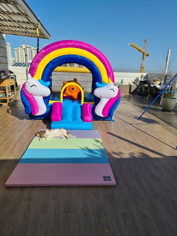 Надувной батут Happy Hop Сказочный единорог