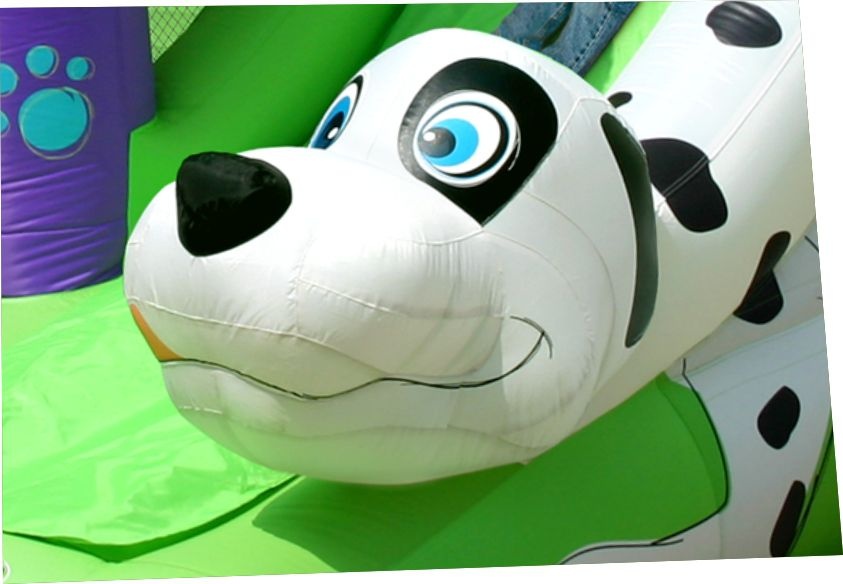 Надувной батут Happy Hop Далматинец