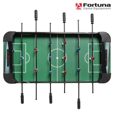 futbol_Fortuna_FR-30_nastolnyiy(11)