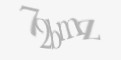 Защитный код