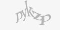 Защитный код