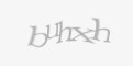 Защитный код
