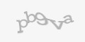 Защитный код