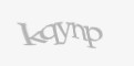Защитный код