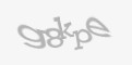 Защитный код